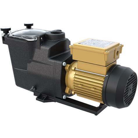 hayward pool pump motor centrifugal switch|hayward programmable pool pump.